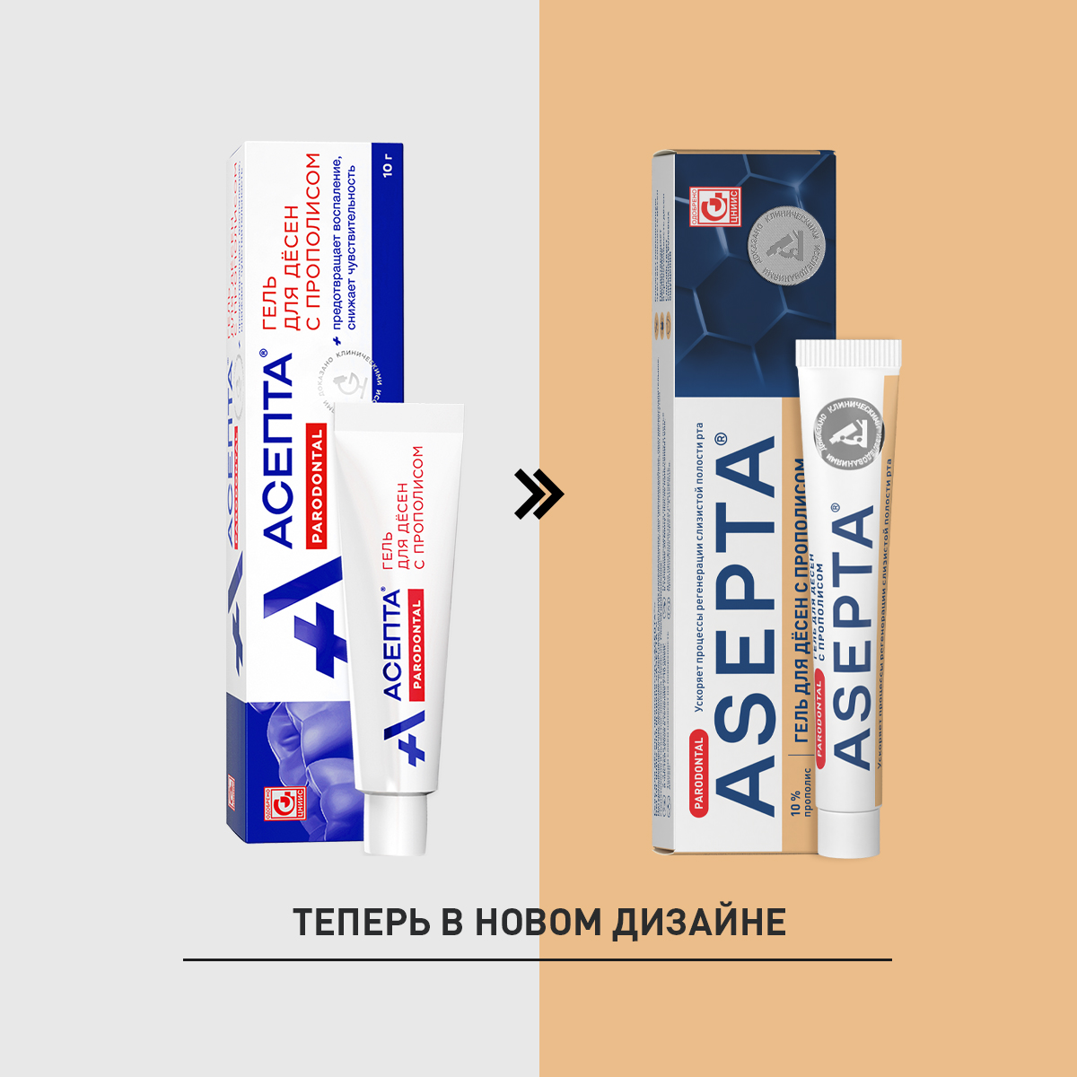 Асепта, гель для десен (прополис) 10 г, 1 шт.