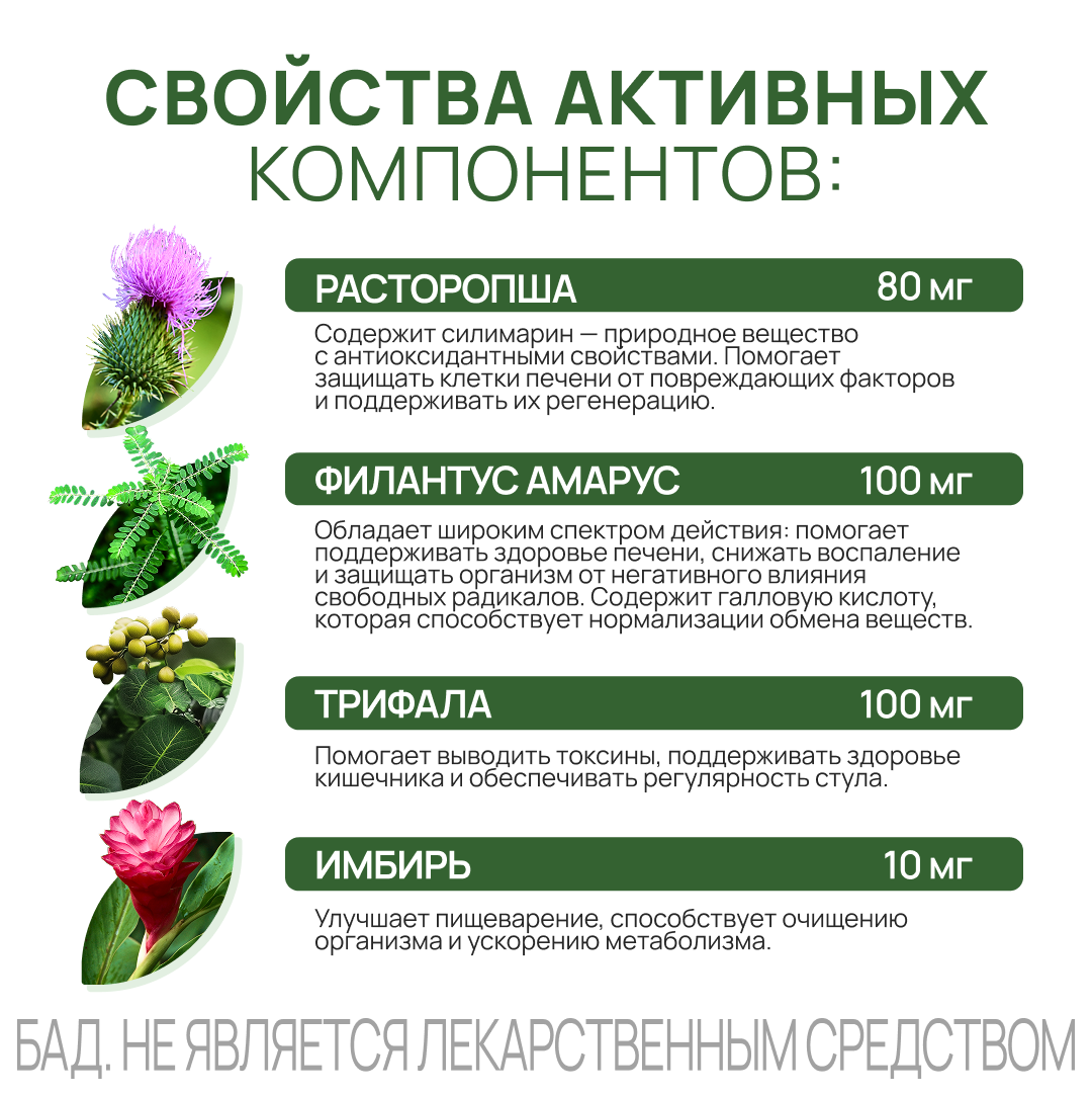 Фортификат Гепато таблетки, 30 шт.