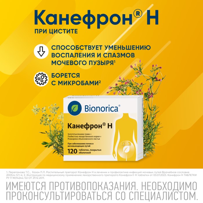 Упаковка препарата Канефрон Н, таблетки покрытые оболочкой, 120 шт.