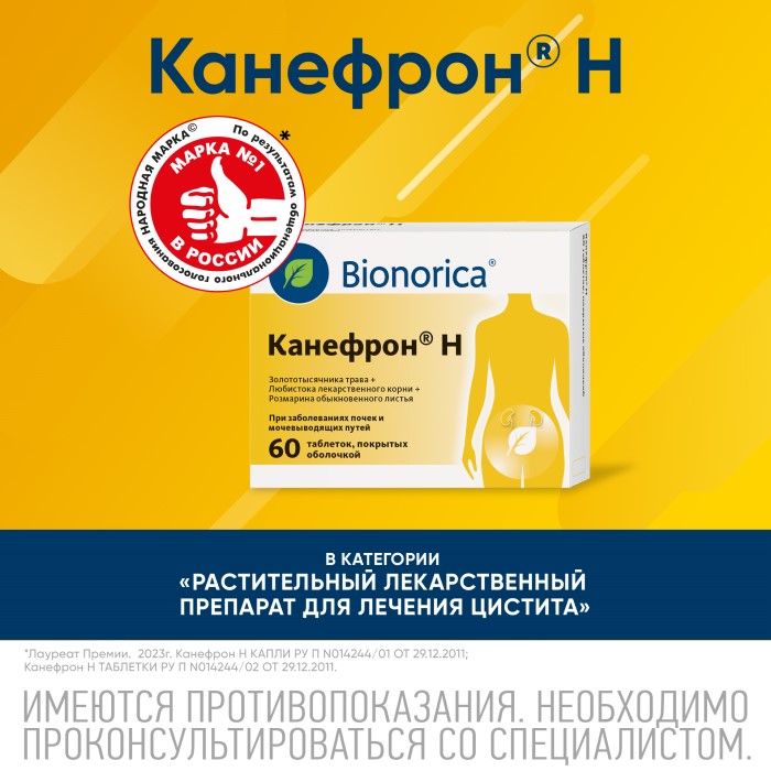 Упаковка препарата Канефрон Н, таблетки покрыт. плен. об., 60 шт.