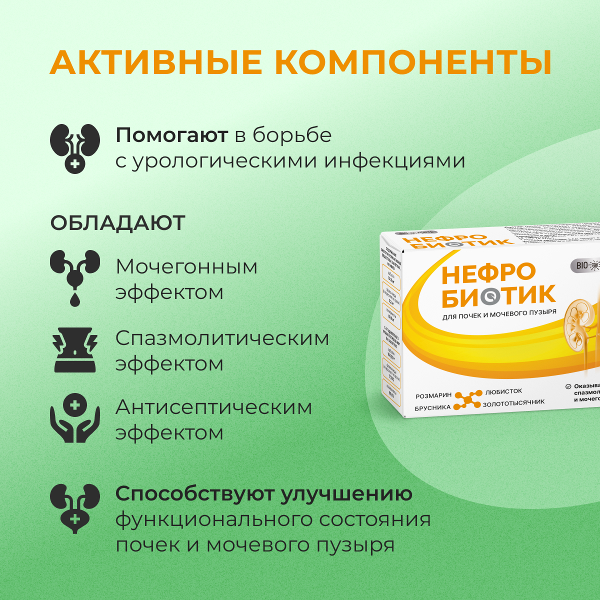 Нефробиотик BioForte, таблетки 300 мг, 60 шт.