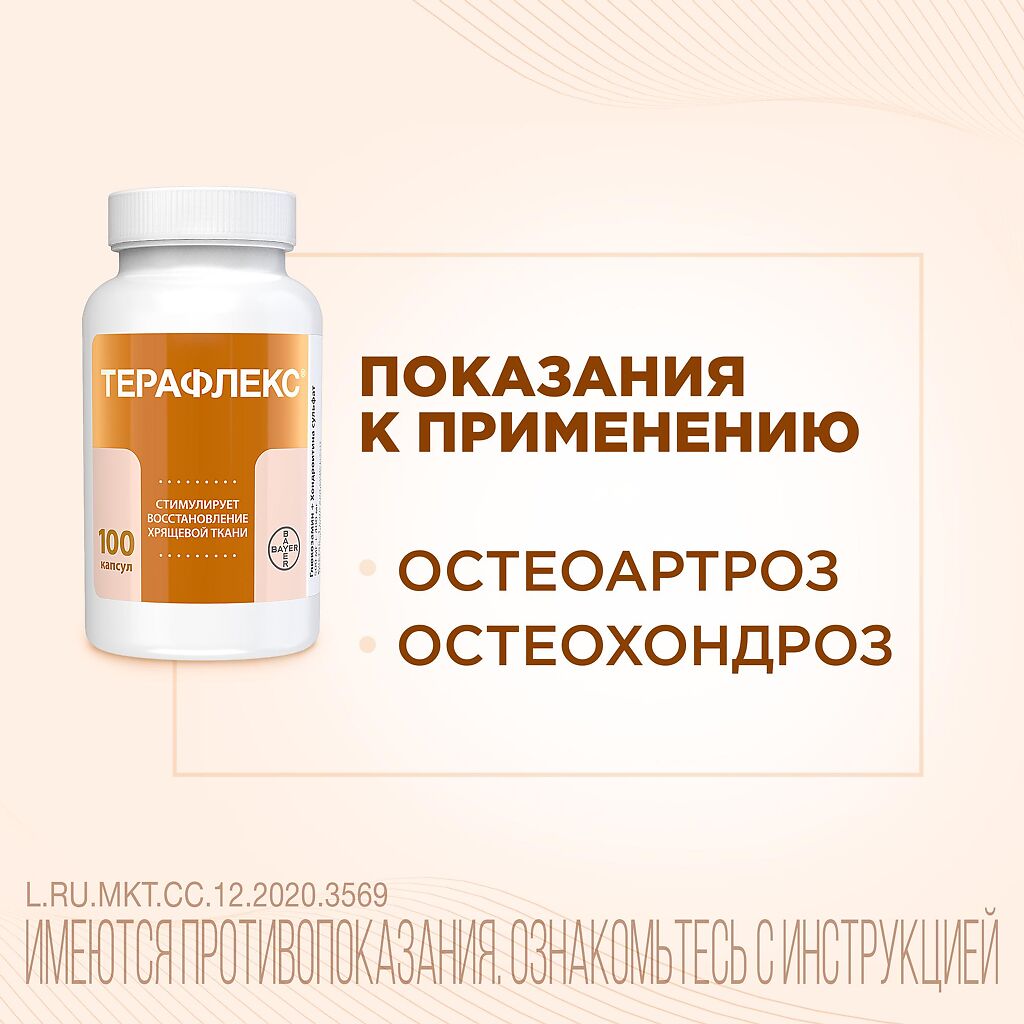 Упаковка препарата Терафлекс, капсулы 500 мг+400 мг, 60 шт.