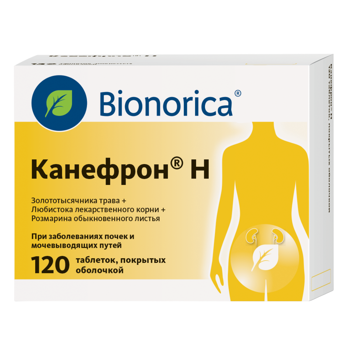 Упаковка препарата Канефрон Н, таблетки покрытые оболочкой, 120 шт.