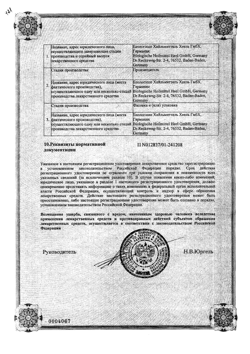 Сертификат на 