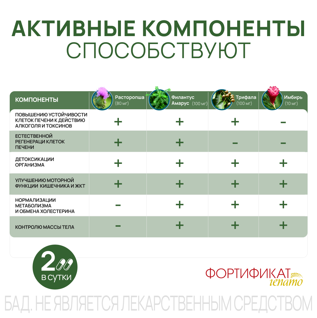 Фортификат Гепато таблетки, 30 шт.