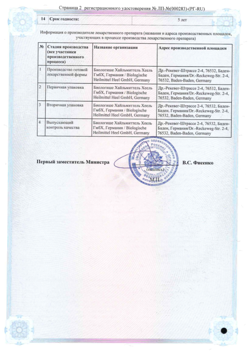 Сертификат на Эуфорбиум