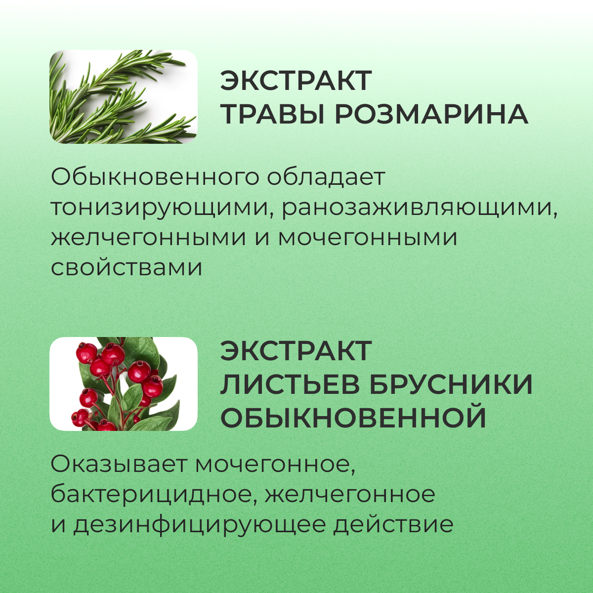 Нефробиотик BioForte, таблетки 300 мг, 60 шт.