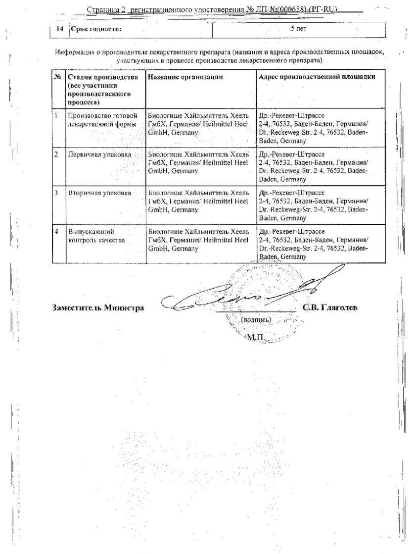 Сертификат на Гастрикумель