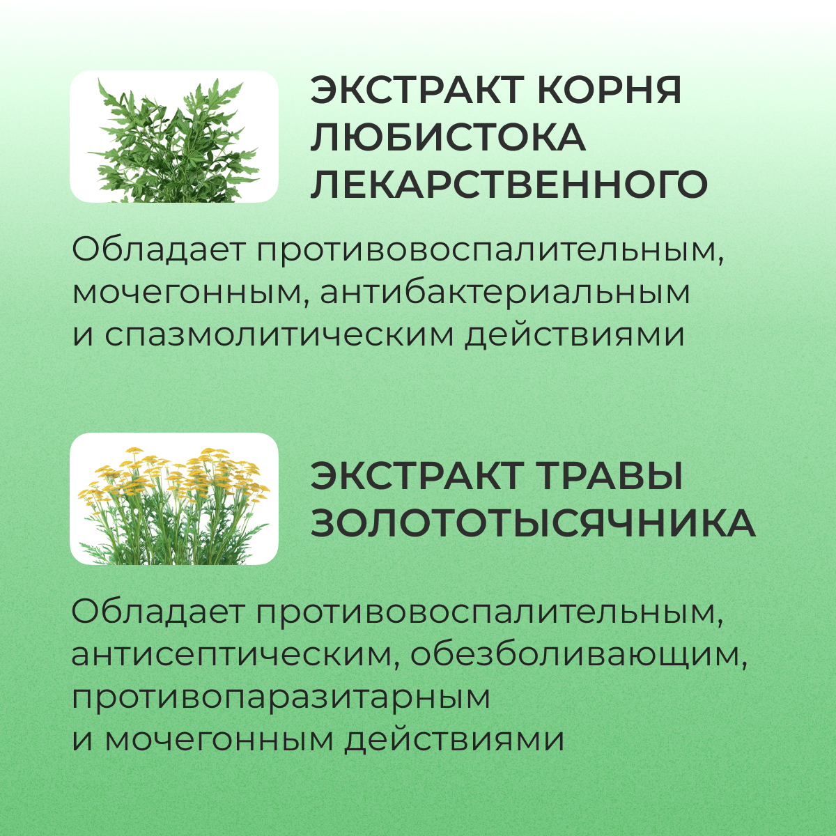 Нефробиотик BioForte, таблетки 300 мг, 60 шт.