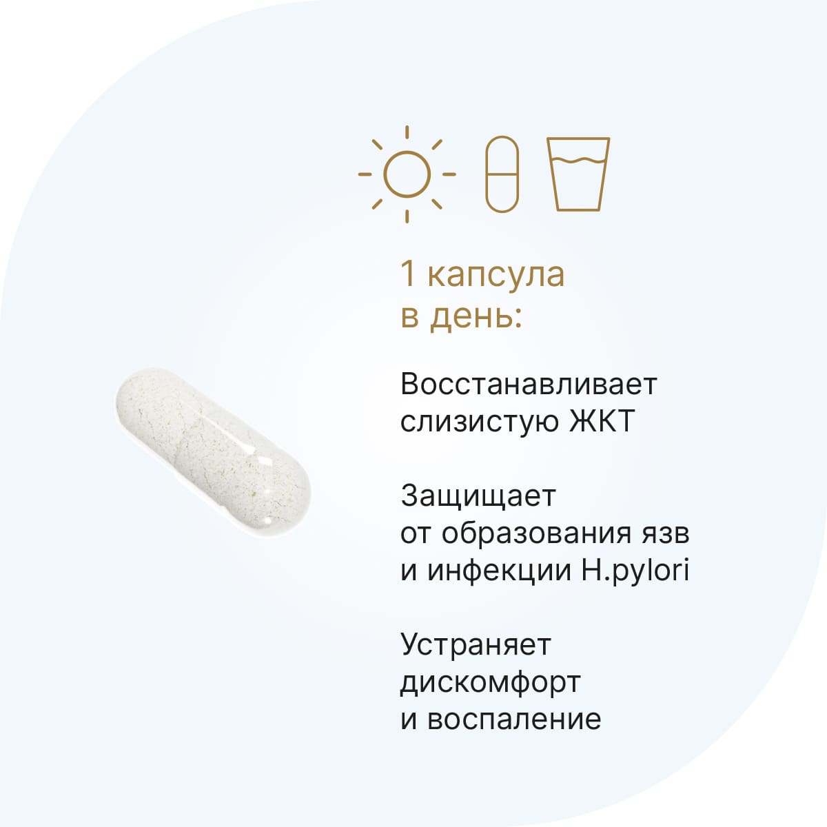 Цинк-L-карнозин Гастро, капсулы, 60 шт.