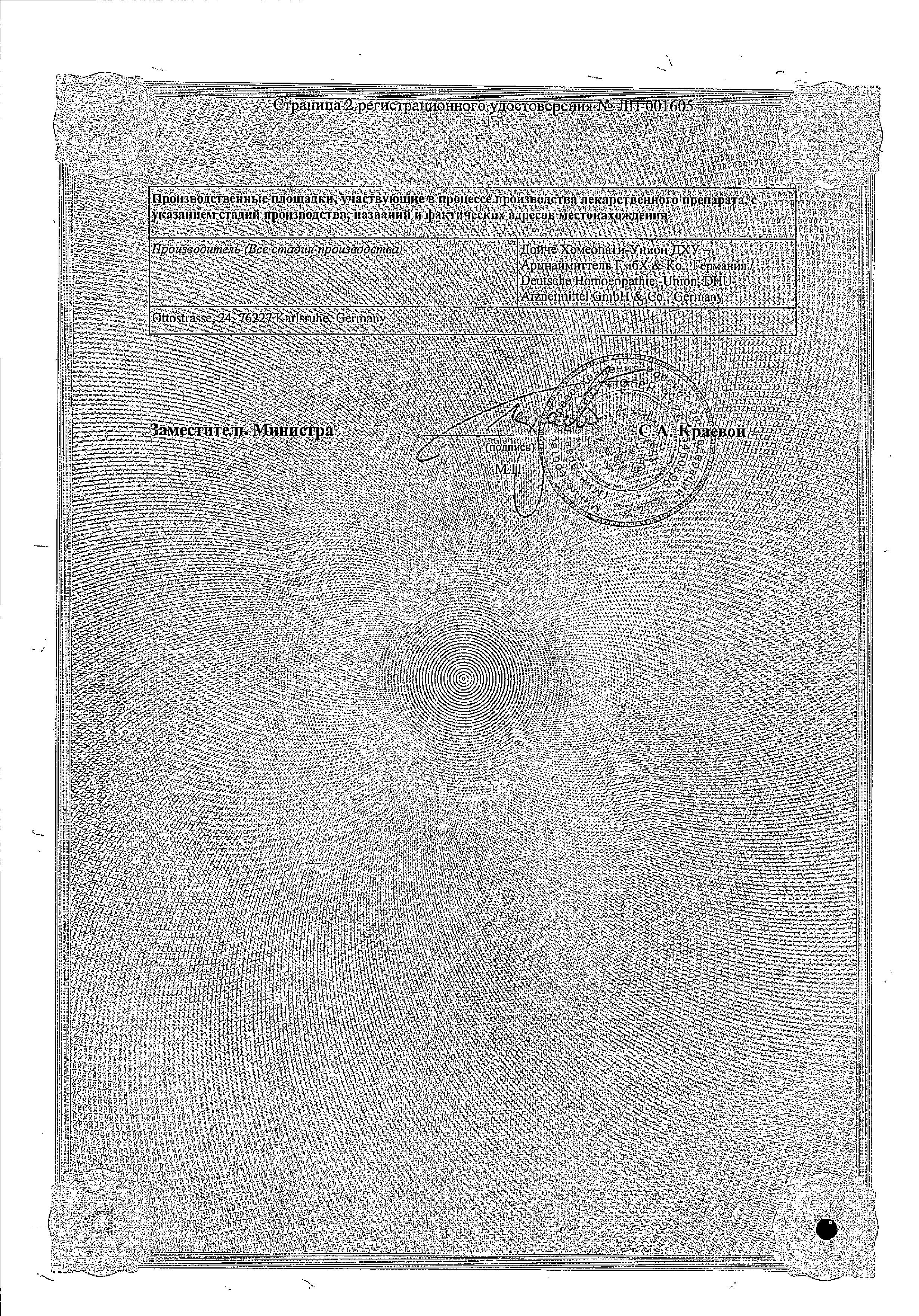 Сертификат на Дормикинд