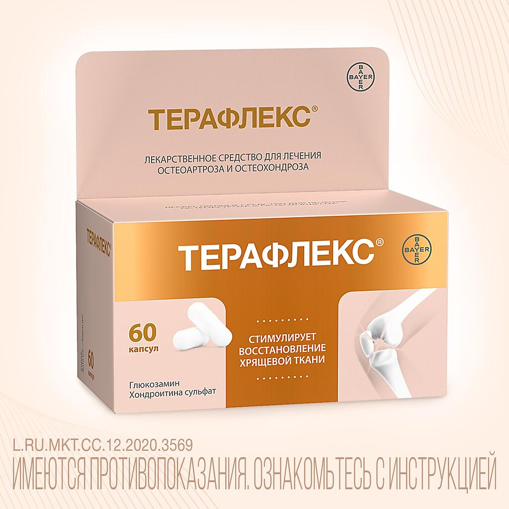 Упаковка препарата Терафлекс, капсулы 500 мг+400 мг, 60 шт.