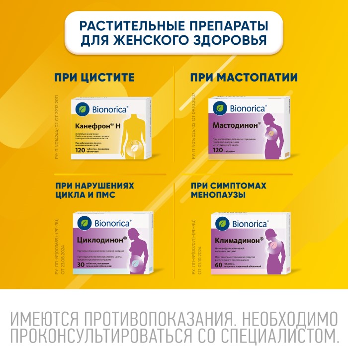 Упаковка препарата Канефрон Н, таблетки покрытые оболочкой, 120 шт.