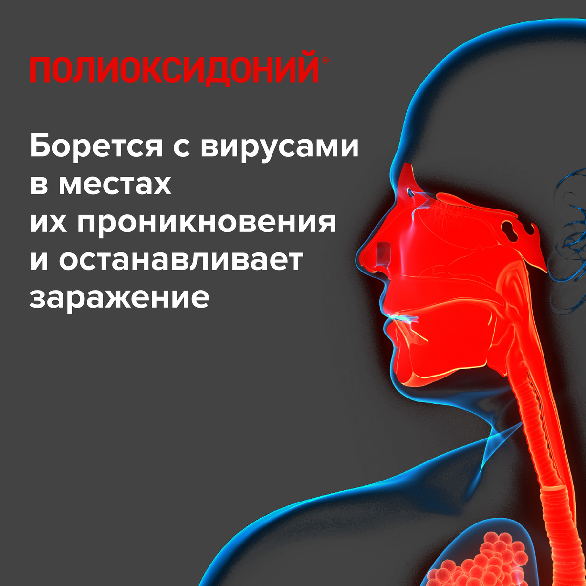 Упаковка препарата Полиоксидоний, таблетки 12 мг, 10 шт.