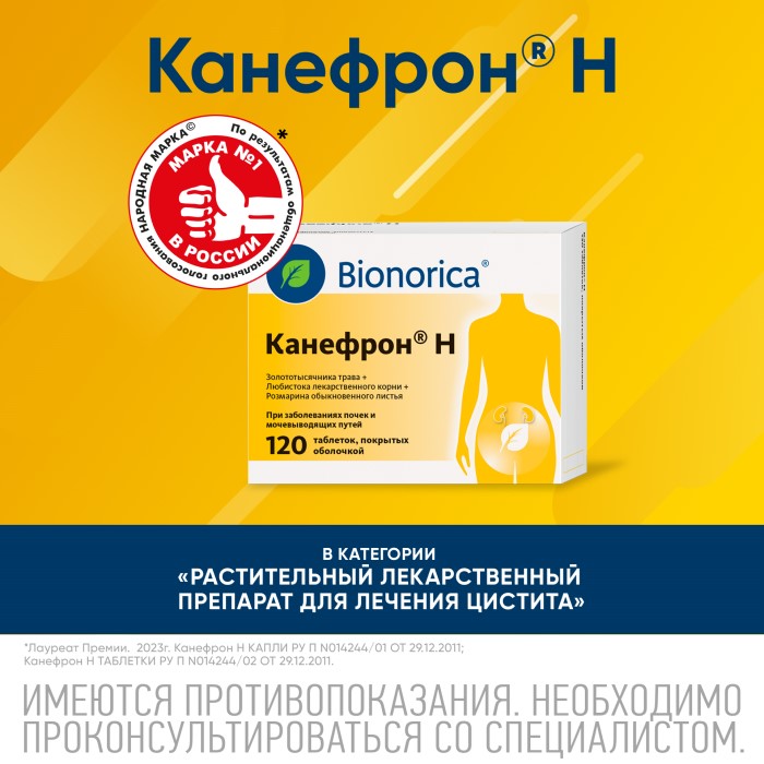 Упаковка препарата Канефрон Н, таблетки покрытые оболочкой, 120 шт.