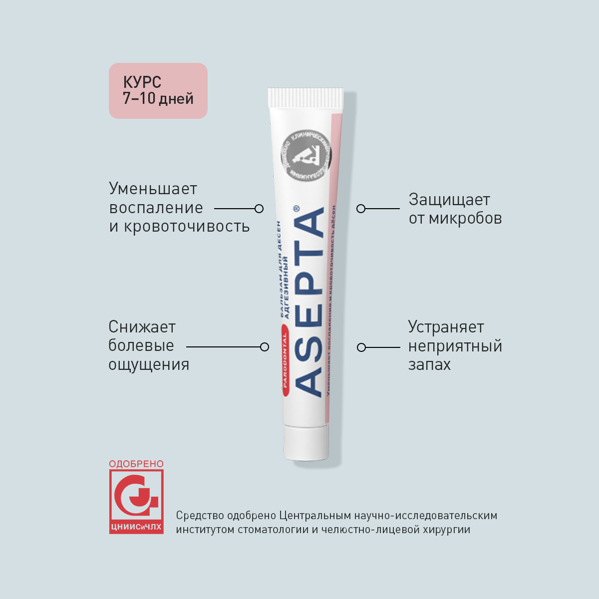 Асепта, бальзам для десен адгезивный 10 г, 1 шт.