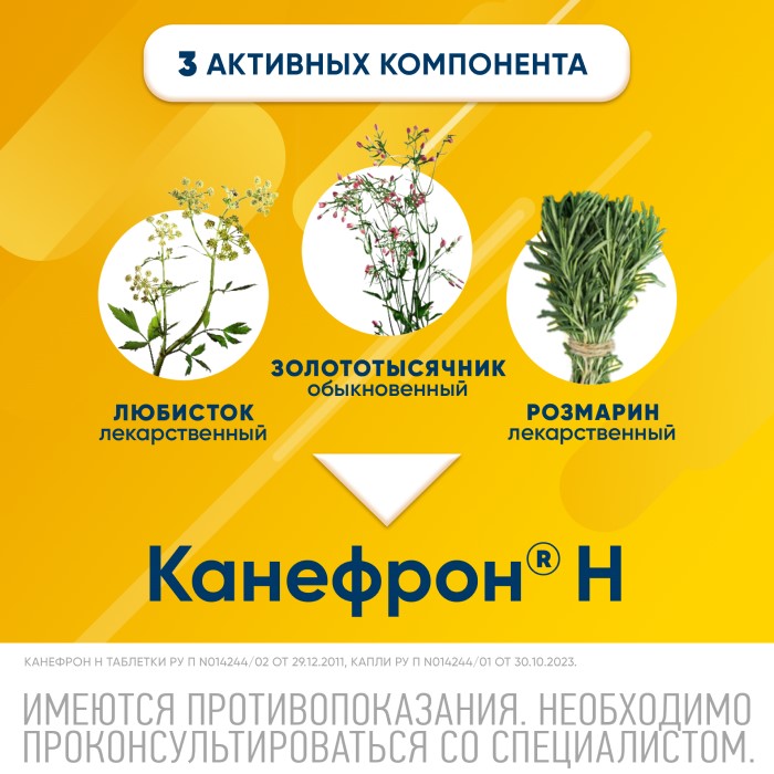 Упаковка препарата Канефрон Н, раствор для внутреннего применения 100 мл