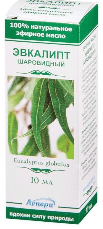 Эвкалипт, масло эфирное, 10 мл