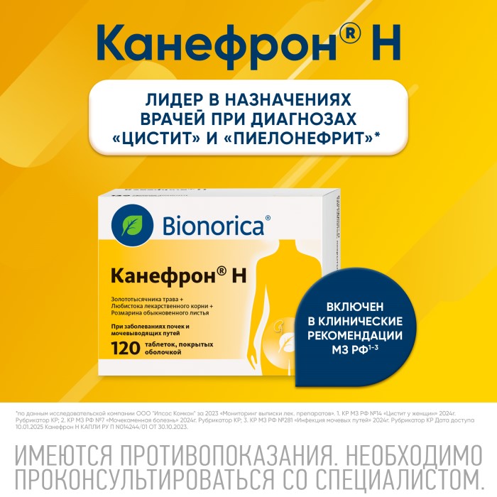 Упаковка препарата Канефрон Н, таблетки покрытые оболочкой, 120 шт.
