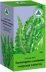 Фото Ламинарии слоевища