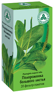 Фото Подорожника большого листья