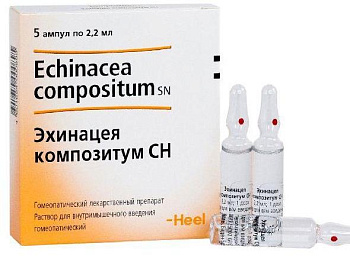 Эхинацея композитум СН, раствор для в/м введения, ампулы 2.2 мл, 5 шт. 