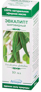 Фото Эвкалипт