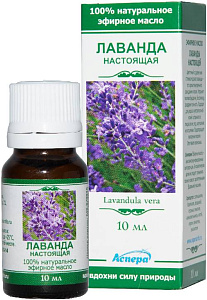 Фото Лаванда