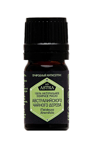 Фото Австралийское чайное дерево