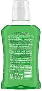 Фото Лесной бальзам