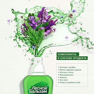 Фото Лесной бальзам
