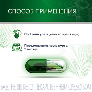 Фото АртНео