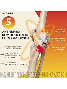 Фото Картилокс