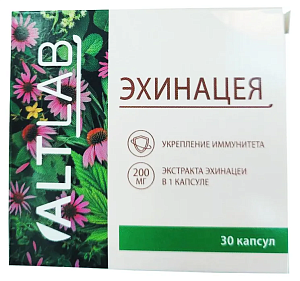 Фото Эхинацея