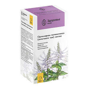 Фото Ортосифона тычиночного листья