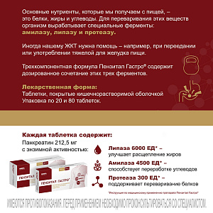 Фото Пензитал Гастро