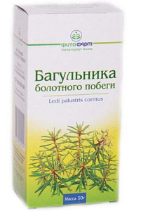 Фото Багульника болотного побеги