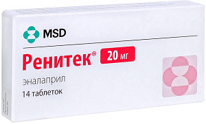 Фото Ренитек