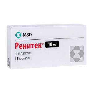 Фото Ренитек