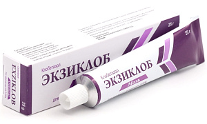 Фото Экзиклоб