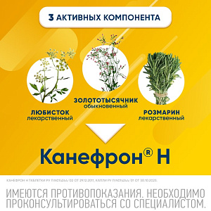 Фото Любистока лекарственного корни