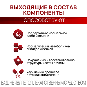 Фото Фортификат