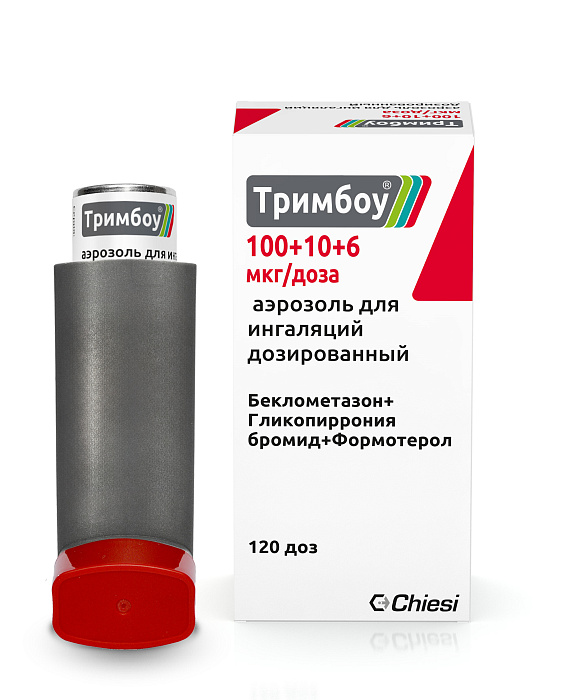 Тримбоу, аэрозоль для ингаляций дозированный 100+10+6 мкг/доза, 120 доз 