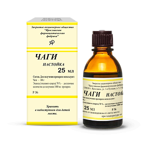 Фото Чага гриб