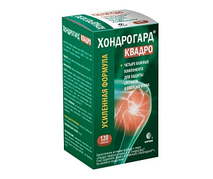 Фото Хондрогард
