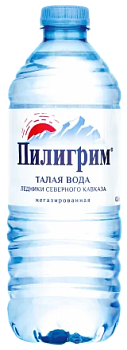 Вода минеральная Пилигрим без газа, 0.5 л