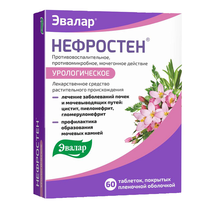 Нефростен, таблетки покрыт. плен. об., 60 шт. 