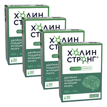 Набор 4уп Холин Стронг капсулы 0.588г 30шт