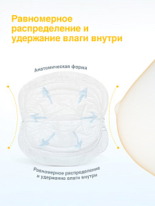 Фото Медела