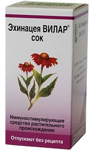 Фото Эхинацеи пурпурной травы сок